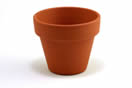 pot